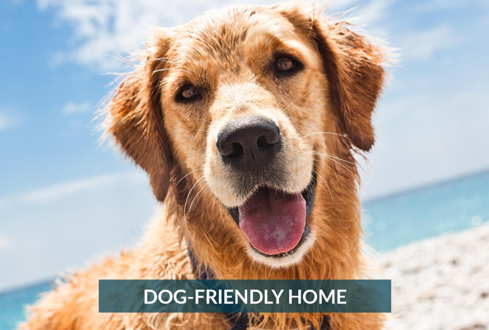 5508 Southern Comfort Dog Friendly Shared Pool Килл-Девил-Хиллз Экстерьер фото